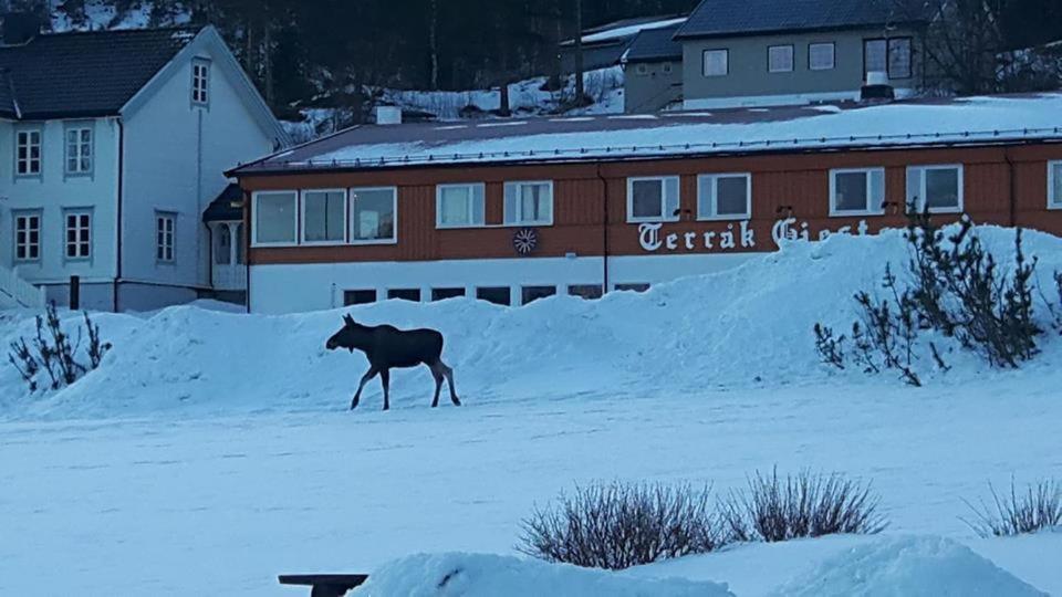 Terrak Gjestegard Exteriör bild